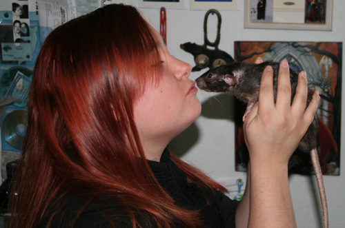 Tanya Acordagoitia rat kiss black velveteen dumbo