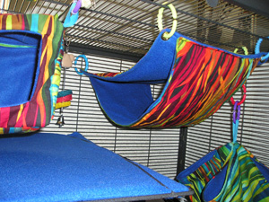 hammock