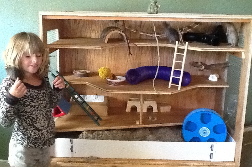 kid with rats